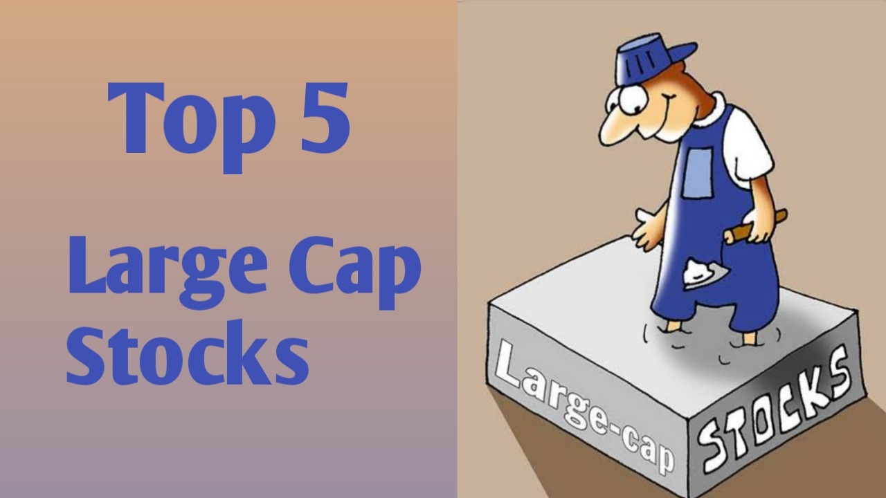 top 5 large cap stocks by financial funda